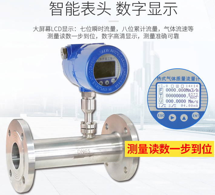 DN300热式气体质量流量计液晶表头显示图
