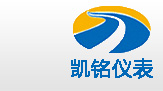 金湖桃色APP直播软件仪表有限公司LOGO